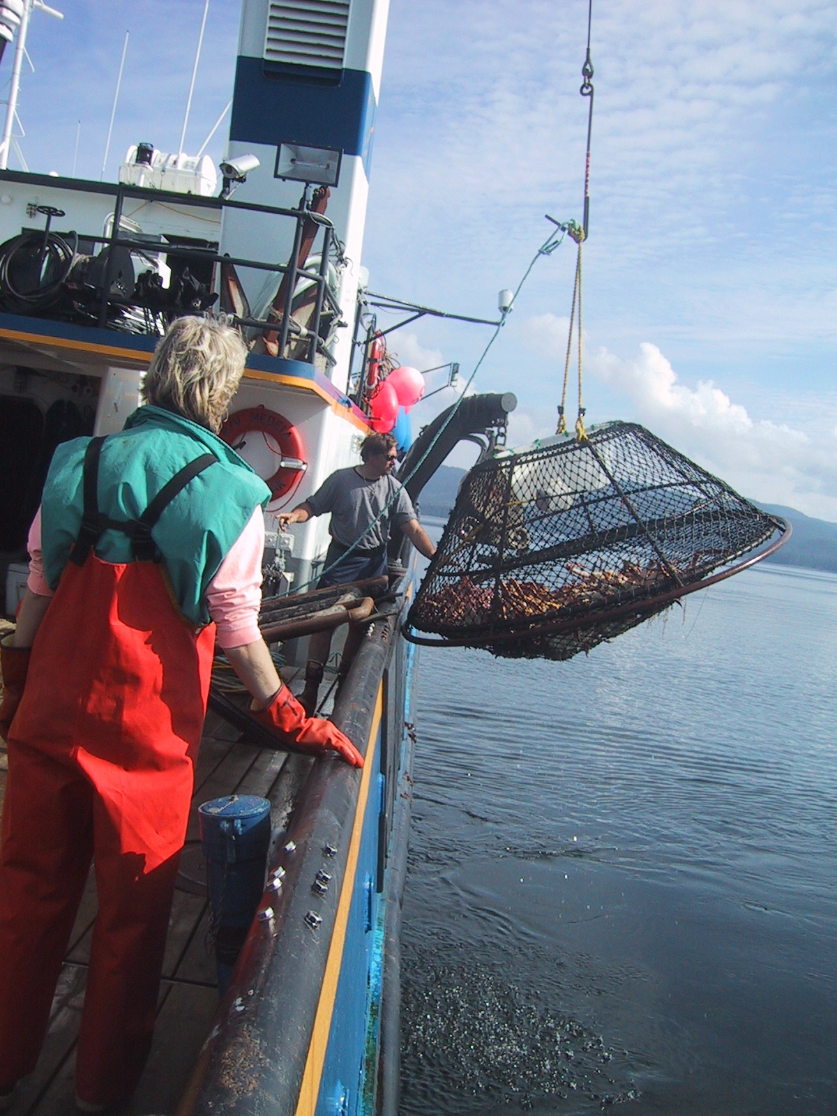 Red King Crab Survey in Pybus Bay