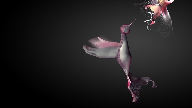 In order to get to the global competition in NYC, Gabe had to win the US City-wide contest in San Francisco.  This is his winning image.  Neither the local or global competition was about motion graphics, but this hummingbird flaps it's wings in a fully animated 3D context.